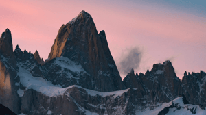 business wellness patagonia